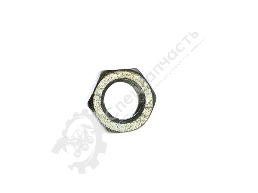 Гайка 022129  CARRARO